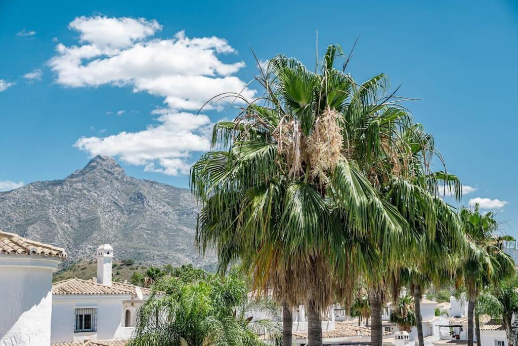 Ayma Valle De Menta Marbella